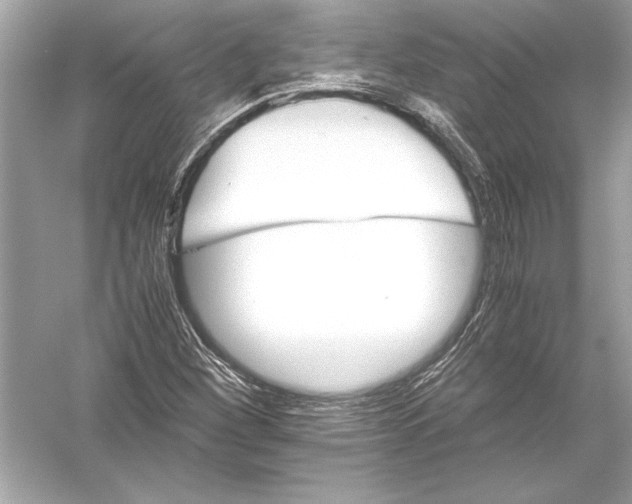 X0000051881260200507221940