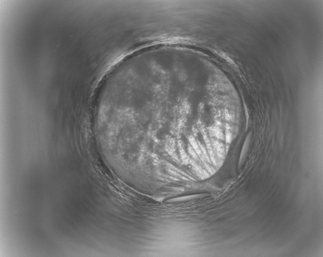 X0000051881263200507221940