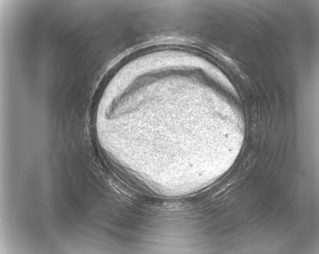 X0000051881264200507221940