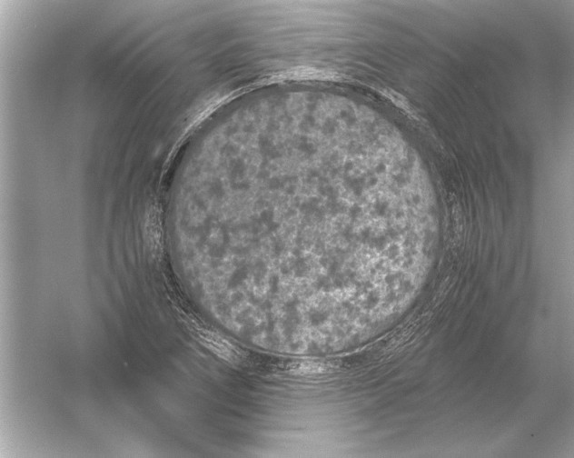 X0000051881266200507221940