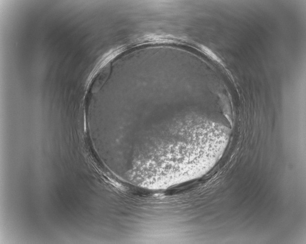 X0000051881269200507221940