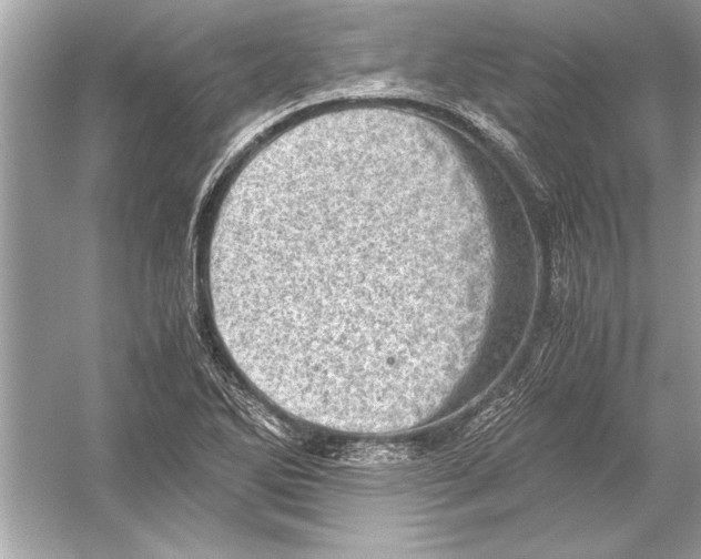 X0000051881270200507221940