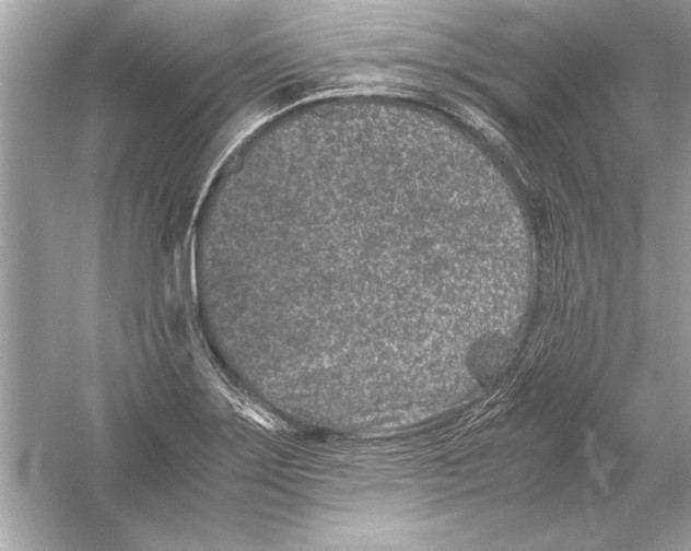 X0000051881275200507221940