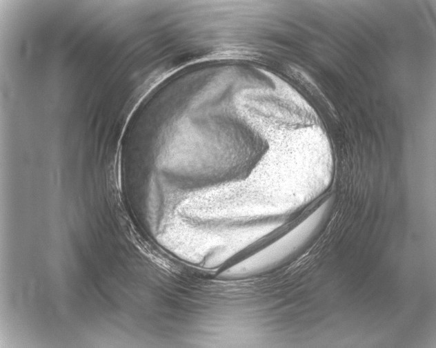 X0000051881276200507221940