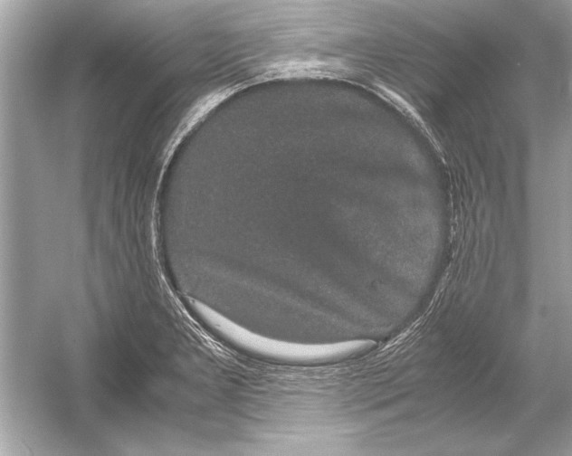 X0000051881277200507221940