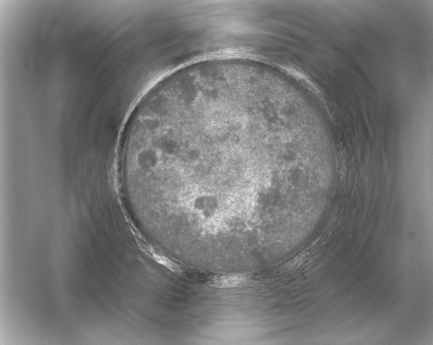 X0000051881278200507221940