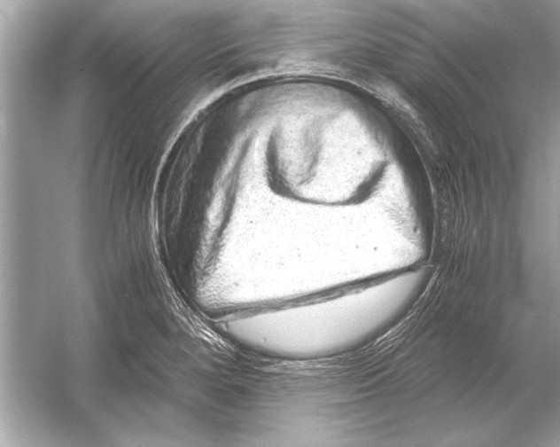 X0000051881280200507221940