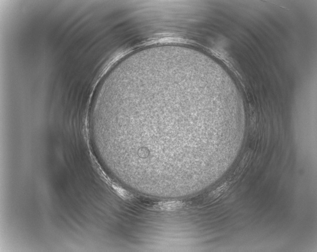 X0000051881282200507221940