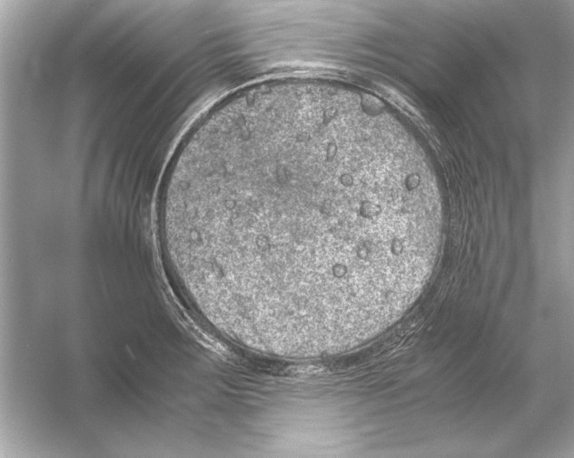 X0000051881283200507221940