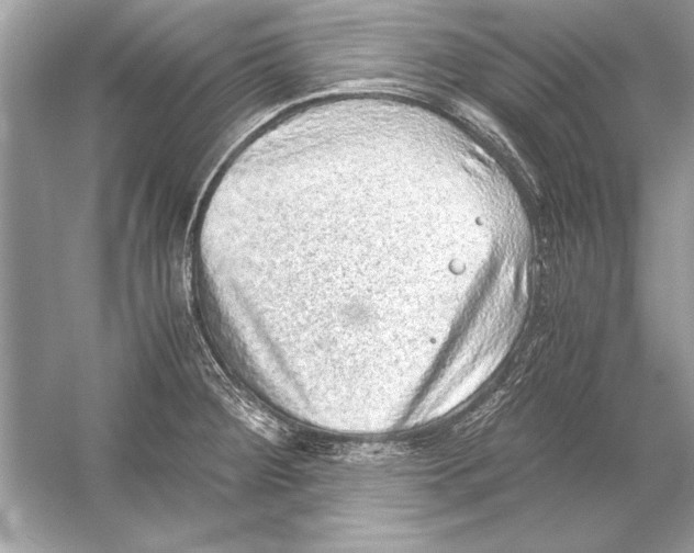 X0000051881284200507221940