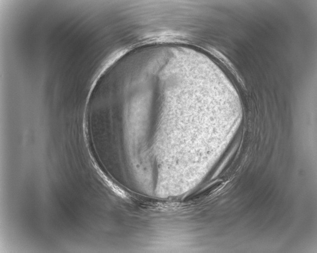 X0000051881285200507221940