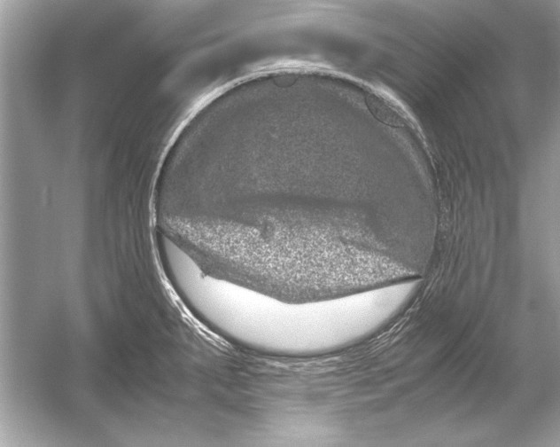 X0000051881287200507221940