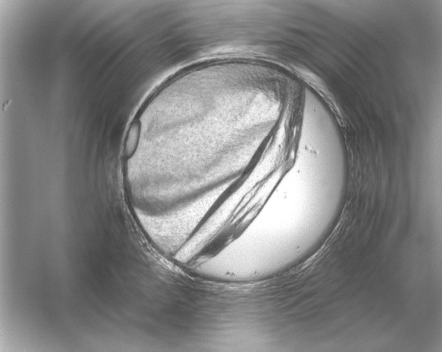 X0000051881288200507221940