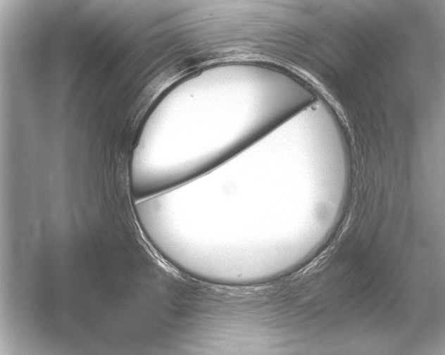 X0000051881289200507221940