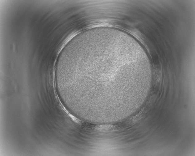 X0000051881290200507221940