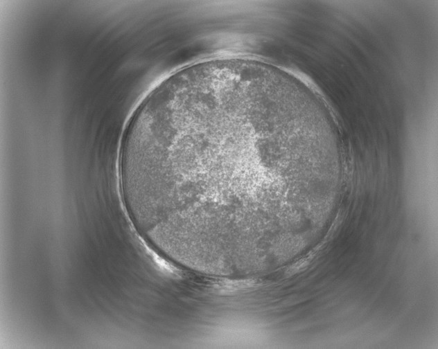 X0000051881294200507221940