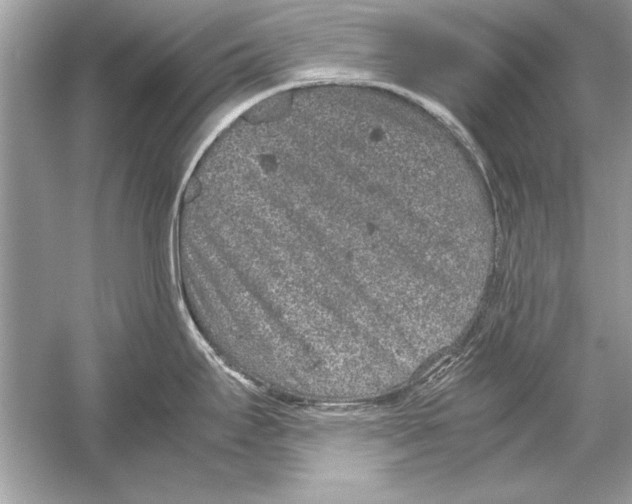 X0000051881295200507221940