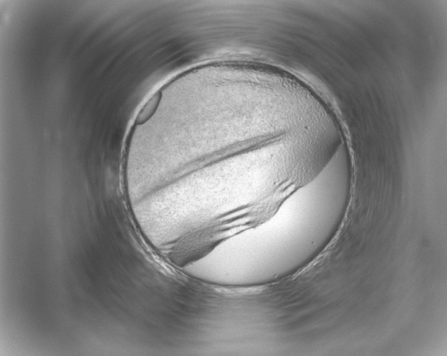 X0000051881296200507221940