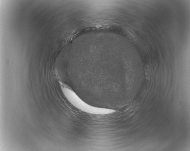 X0000051881298200507221939