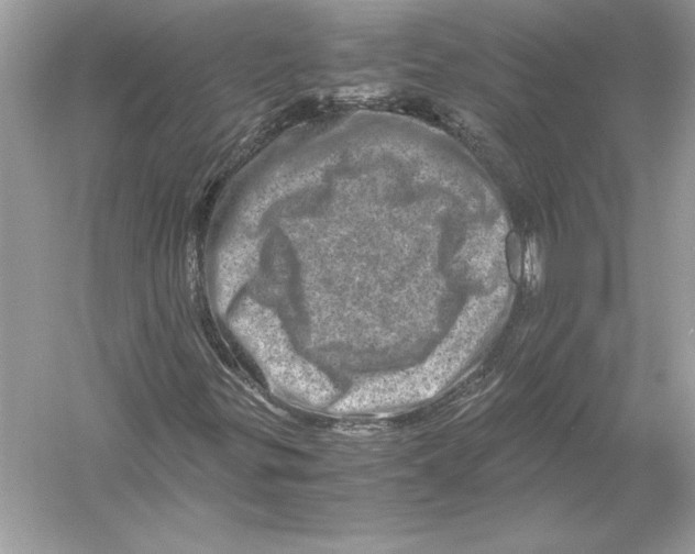 X0000051881299200507221939