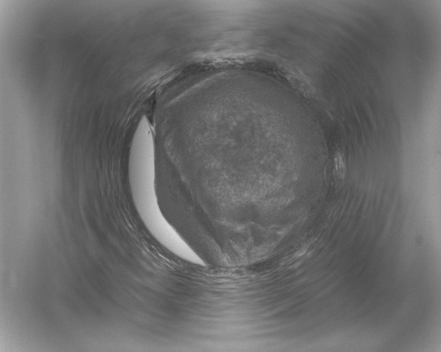 X0000051881300200507221939