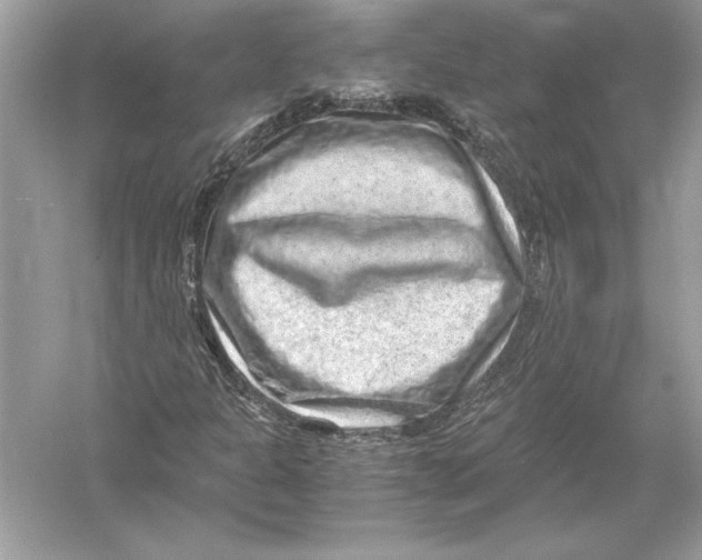 X0000051881301200507221939