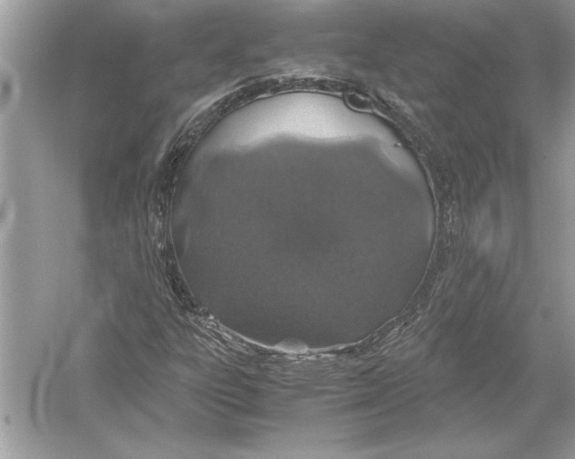 X0000051881303200507221939