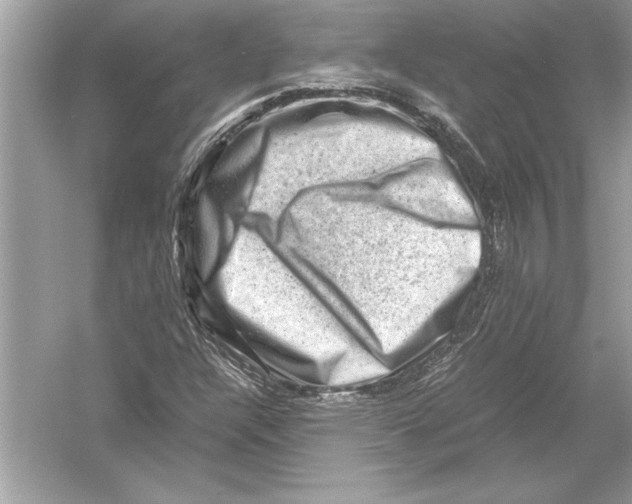 X0000051881304200507221939