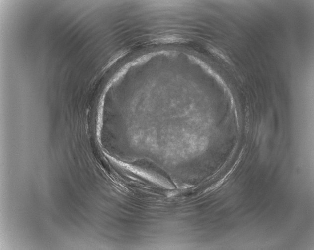 X0000051881305200507221939