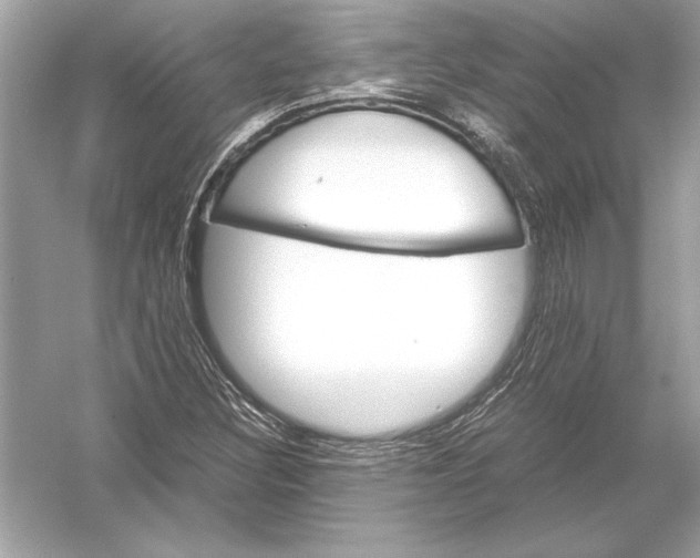 X0000051881308200507221939