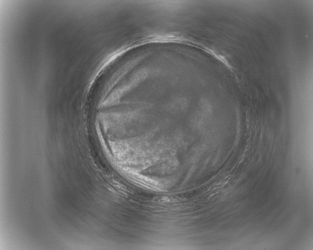 X0000051881311200507221939