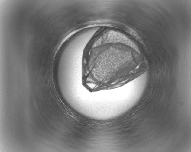 X0000051881312200507221939