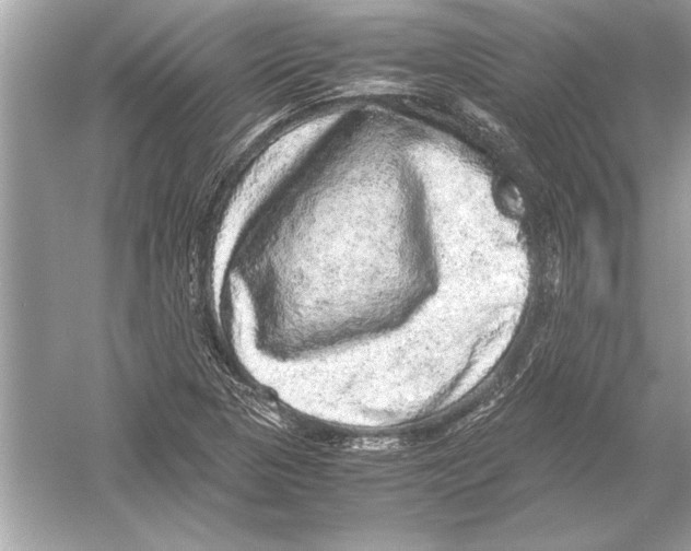 X0000051881313200507221939