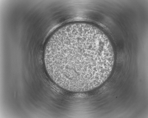 X0000051881314200507221939