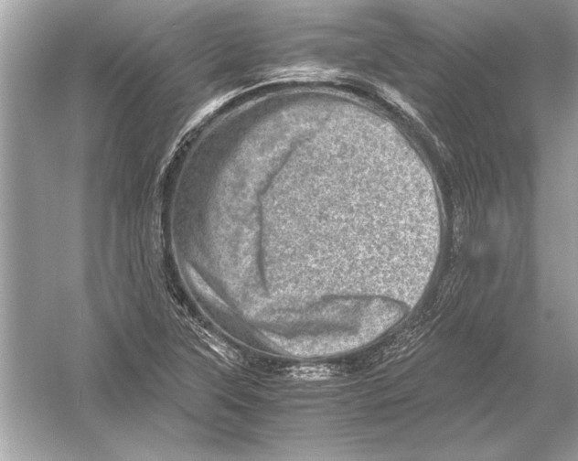 X0000051881315200507221939