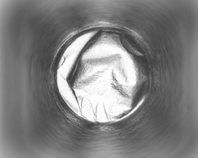 X0000051881318200507221939