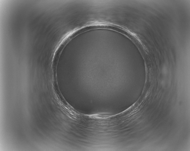 X0000051881319200507221939