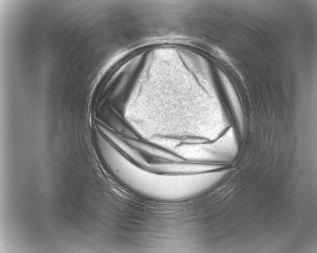 X0000051881320200507221939