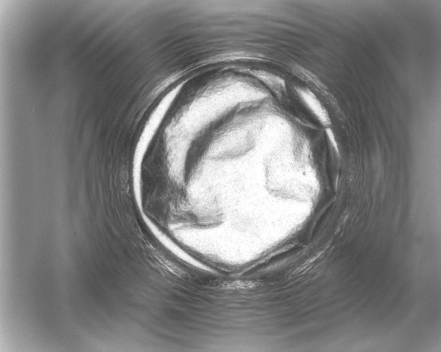 X0000051881321200507221939