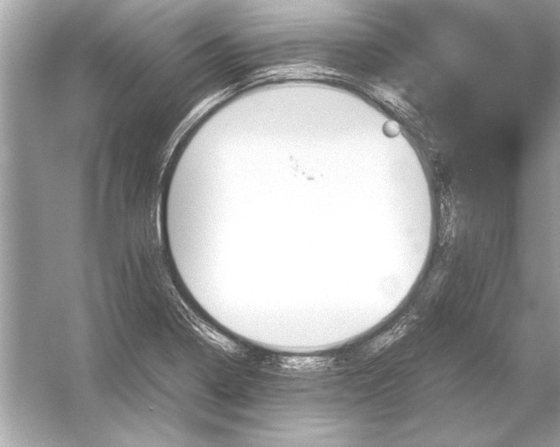 X0000051881322200507221939