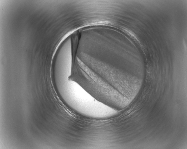 X0000051881324200507221939