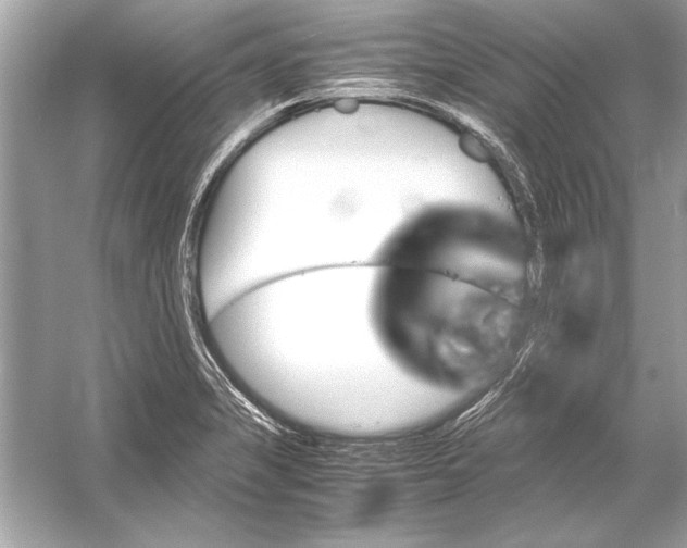 X0000051881325200507221939