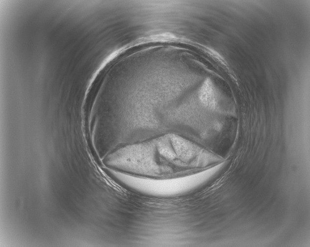 X0000051881326200507221939