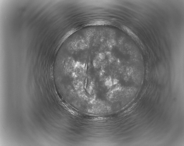 X0000051881329200507221939