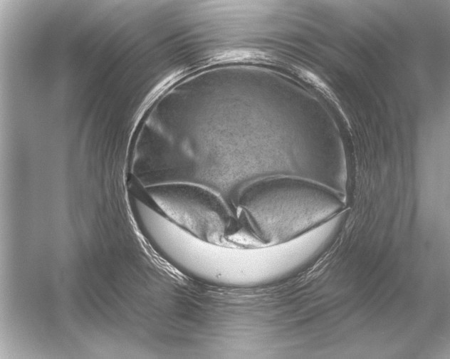 X0000051881330200507221939