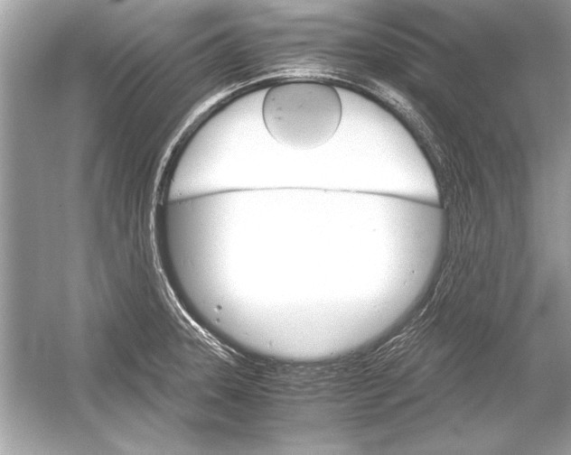 X0000051881331200507221939