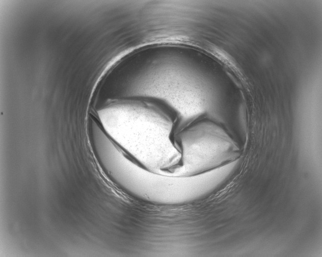 X0000051881332200507221939