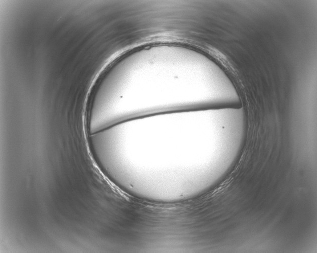 X0000051881334200507221939