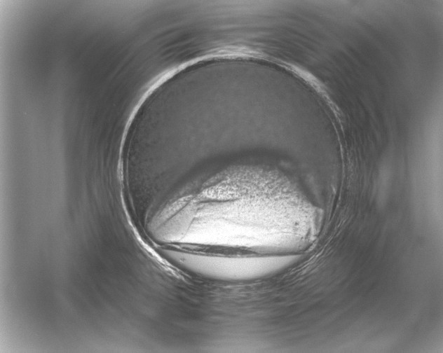 X0000051881335200507221939