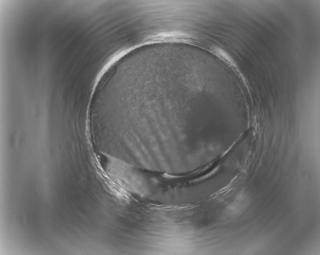 X0000051881336200507221939